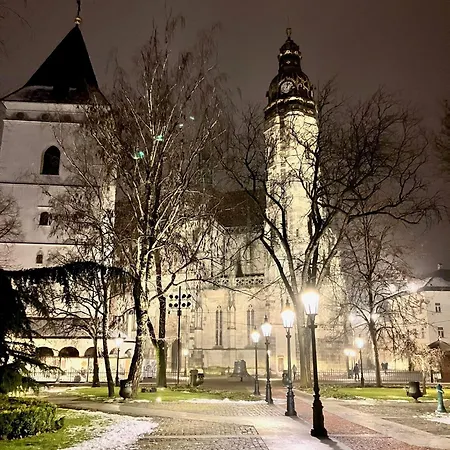 Cozy Medieval Nest 아파트 *